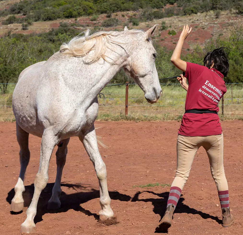 Foulées à 3 - Anaïs Caracci : Horsemanship à Clermont-l'Hérault près de Montpellier (34)